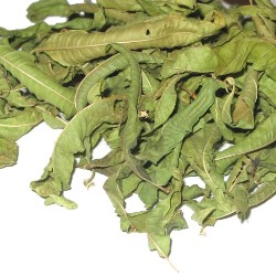 Cedrón - Verveine odorante Bio
